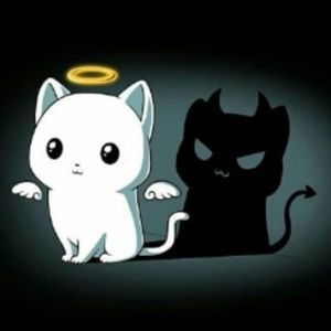 Meet your Posher, Alisha